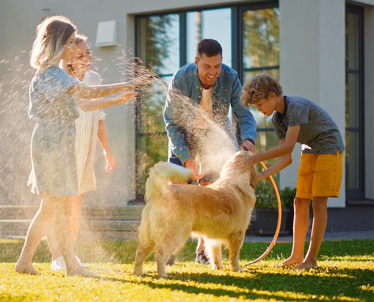 family washing dog in front yard
