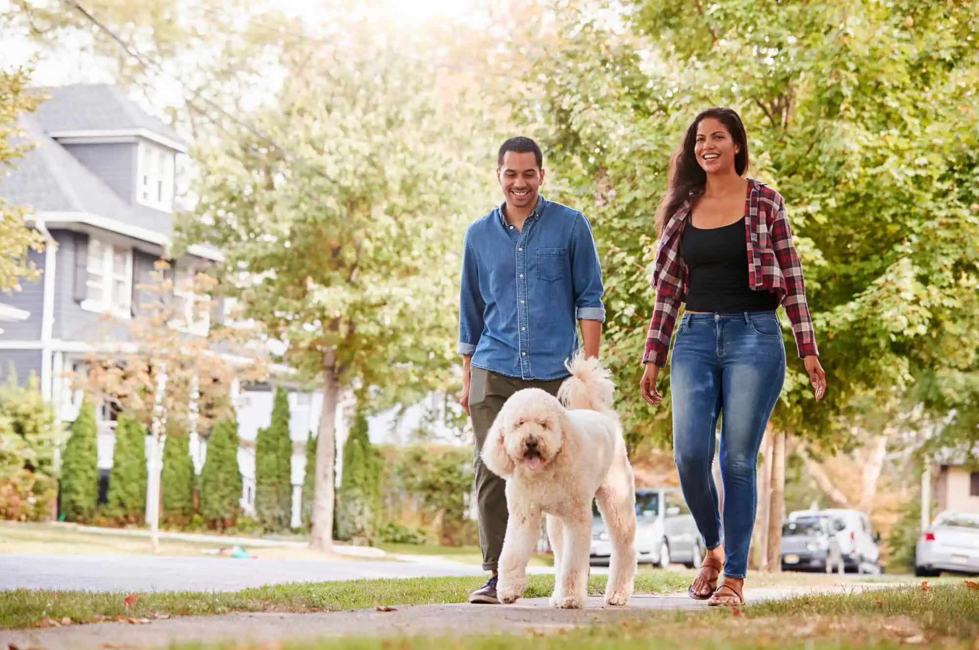 A couple walking a dog