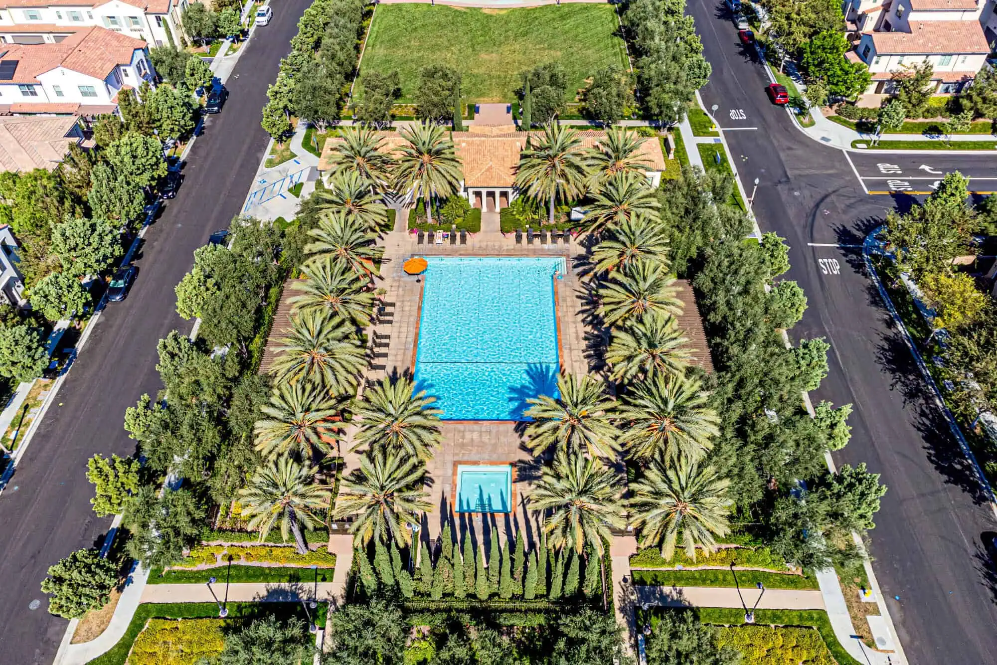 Pool surrounded by trees